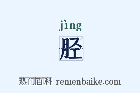 胫是什么意思的图片